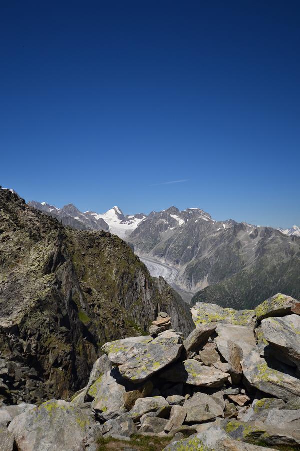 Appartmenthaus Bergfreund Fiesch Exteriör bild