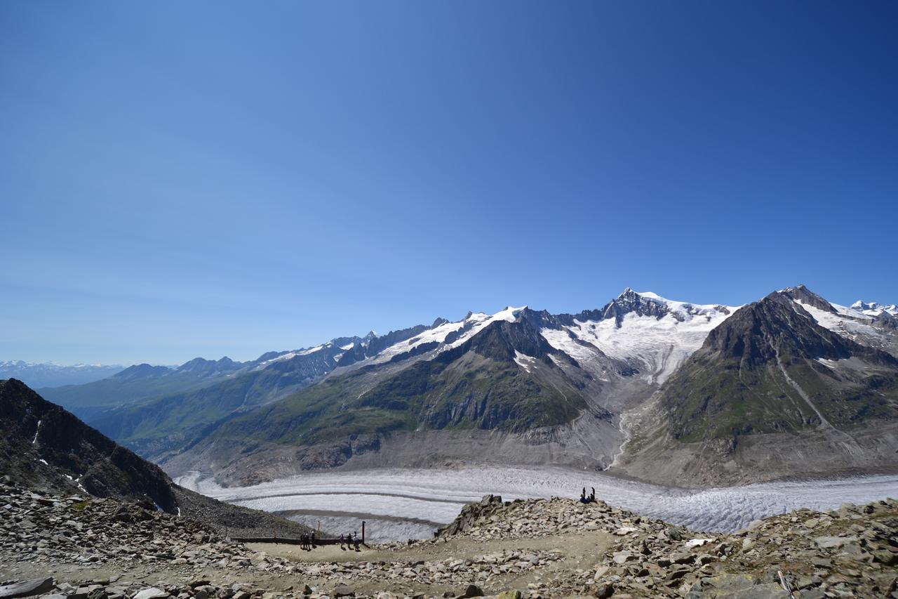 Appartmenthaus Bergfreund Fiesch Exteriör bild