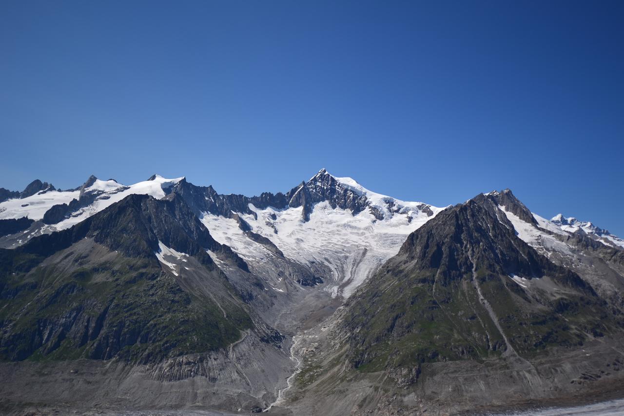 Appartmenthaus Bergfreund Fiesch Exteriör bild